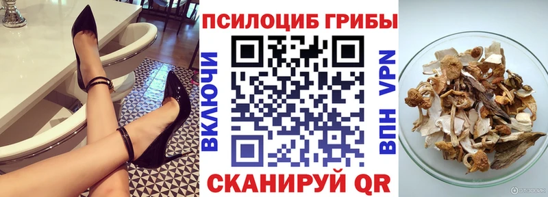 Псилоцибиновые грибы Psilocybine cubensis  Купить закладки  Пыталово 